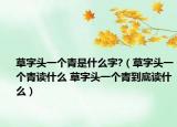 草字头一个青是什么字?（草字头一个青读什么 草字头一个青到底读什么）