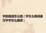 字的组词怎么组（字怎么组词语 汉字字怎么组词）