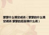 蒙蒙什么填空成语（蒙蒙的什么填空词语 蒙蒙的后面填什么词）