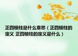 正四棱柱是什么意思（正四棱柱的定义 正四棱柱的定义是什么）