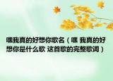 嘿我真的好想你歌名（嘿 我真的好想你是什么歌 这首歌的完整歌词）