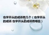 也字开头的成语有几个（也字开头的成语 也字开头的成语有哪些）