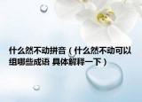 什么然不动拼音（什么然不动可以组哪些成语 具体解释一下）