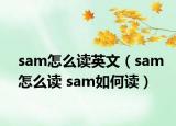 sam怎么读英文（sam怎么读 sam如何读）