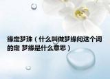 缘定梦珠（什么叫做梦缘问这个词的定 梦缘是什么意思）