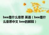 bee是什么意思 英语（bee是什么意思中文 bee的解释）