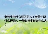 老黄牛指什么样子的人（老黄牛是什么样的人 一般老黄牛形容什么人）