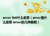 amor fati什么意思（amor是什么意思 amor的几种解释）
