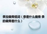 录加偏旁组词（录是什么偏旁 录的偏旁是什么）