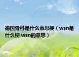 德国骨科是什么意思梗（wsn是什么梗 wsn的意思）