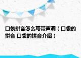 口袋拼音怎么写带声调（口袋的拼音 口袋的拼音介绍）
