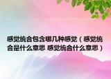 感觉统合包含哪几种感觉（感觉统合是什么意思 感觉统合什么意思）