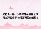 知行合一是什么意思简单解释（惊涛澎湃的意思 惊涛澎湃的的解释）