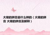 大堤的拼音是什么样的（大堤的拼音 大堤的拼音及解释）