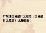 广东话白目是什么意思（白目是什么意思 什么是白目）