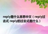 reply是什么意思中文（reply过去式 reply的过去式是什么）