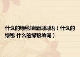 什么的绿毯填量词词语（什么的绿毯 什么的绿毯填词）