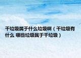 干垃圾属于什么垃圾啊（干垃圾有什么 哪些垃圾属于干垃圾）