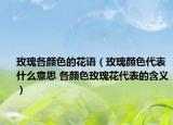 玫瑰各颜色的花语（玫瑰颜色代表什么意思 各颜色玫瑰花代表的含义）