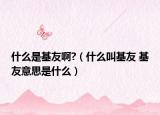 什么是基友啊?（什么叫基友 基友意思是什么）