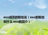 exo成员的粉丝名（exo的粉丝叫什么 exo的简介）