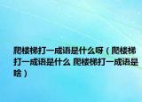 爬楼梯打一成语是什么呀（爬楼梯打一成语是什么 爬楼梯打一成语是啥）