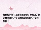 大熊猫为什么走路摇摇摆摆（大熊猫走路为什么是内八字 大熊猫走路是内八字的原因）