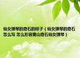 仙女弹琴的奇石的样子（仙女弹琴的奇石怎么写 怎么形容黄山奇石仙女弹琴）