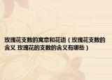 玫瑰花支数的寓意和花语（玫瑰花支数的含义 玫瑰花的支数的含义有哪些）
