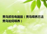 黄鸟抓包电脑版（黄鸟喂养方法 黄鸟如何喂养）