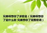 兄弟呀想你了求歌名（兄弟呀想你了是什么歌 兄弟想你了完整歌词）