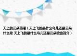 天上的云朵简谱（天上飞的是什么鸟儿还是云朵什么歌 天上飞的是什么鸟儿还是云朵歌曲简介）