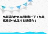兔死狐悲什么意思解释一下（兔死狐悲是什么生肖 谜语简介）