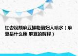 红杏视颏麻豆操艳丽妇人喷水（麻豆是什么梗 麻豆的解释）