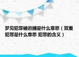 梦见犯罪被追捕是什么意思（双重犯罪是什么意思 犯罪的含义）
