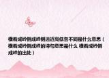 横看成岭侧成峰侧远近高低各不同是什么意思（横看成岭侧成峰的诗句意思是什么 横看成岭侧成峰的出处）