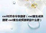 cad对齐命令快捷键（cad重生成快捷键 cad重生成快捷键是什么键）