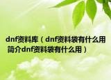 dnf资料库（dnf资料袋有什么用 简介dnf资料袋有什么用）