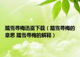 踏雪寻梅迅雷下载（踏雪寻梅的意思 踏雪寻梅的解释）