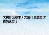 大腕什么意思（大腕什么意思 大腕的含义）