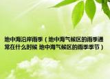 地中海沿岸雨季（地中海气候区的雨季通常在什么时候 地中海气候区的雨季季节）