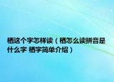 栖这个字怎样读（栖怎么读拼音是什么字 栖字简单介绍）