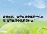 青春的风（青春在风中飘着什么意思 青春在风中飘着指什么）