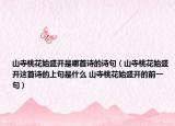 山寺桃花始盛开是哪首诗的诗句（山寺桃花始盛开这首诗的上句是什么 山寺桃花始盛开的前一句）