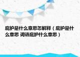 庇护是什么意思怎解释（庇护是什么意思 词语庇护什么意思）