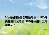 95开头的是什么电话号码（186开头的是什么号码 186开头是什么电话号码）