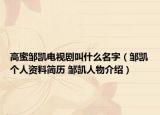 高蜜邹凯电视剧叫什么名字（邹凯个人资料简历 邹凯人物介绍）