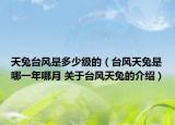 天兔台风是多少级的（台风天兔是哪一年哪月 关于台风天兔的介绍）