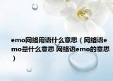 emo网络用语什么意思（网络语emo是什么意思 网络语emo的意思）