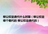柳公权是唐代什么时期（柳公权是哪个朝代的 柳公权是唐代的）